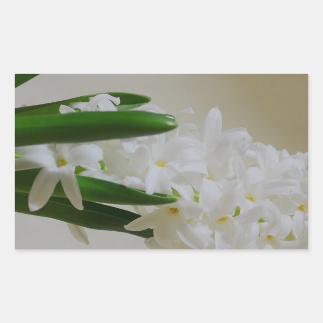 Sticker Rectangulaire Hyacinth (Devant)