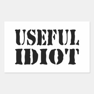 STICKER RECTANGULAIRE IDIOT UTILE