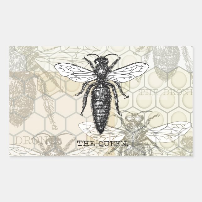 Sticker Rectangulaire Illustration d'antiquité de l'insecte de la reine  (Devant)