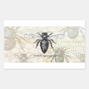 Sticker Rectangulaire Illustration d'antiquité de l'insecte de la reine 