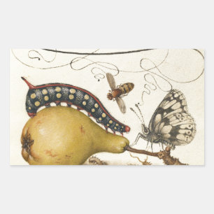 Sticker Rectangulaire Illustration de l'insecte du fruit du papillon