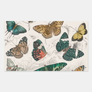 Sticker Rectangulaire Illustration de papillon antique : 1820 Orfèvre