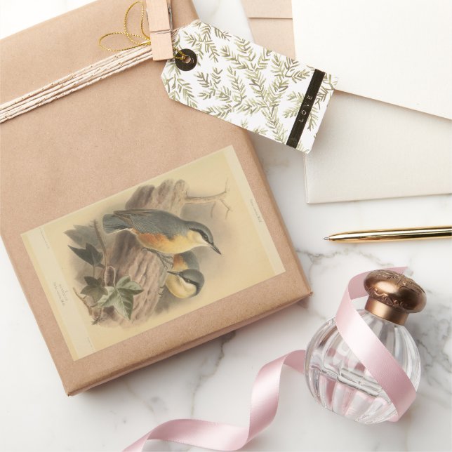 Sticker Rectangulaire Illustration vintage de Nuthatch (Cadeaux)