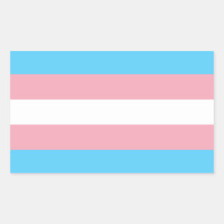 Sticker Rectangulaire Indicateur de fierté transgenre