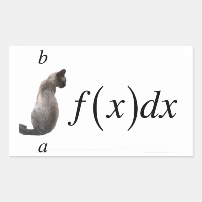 Sticker Rectangulaire Integral cat (Devant)