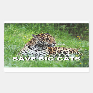 Sticker Rectangulaire Jaguar