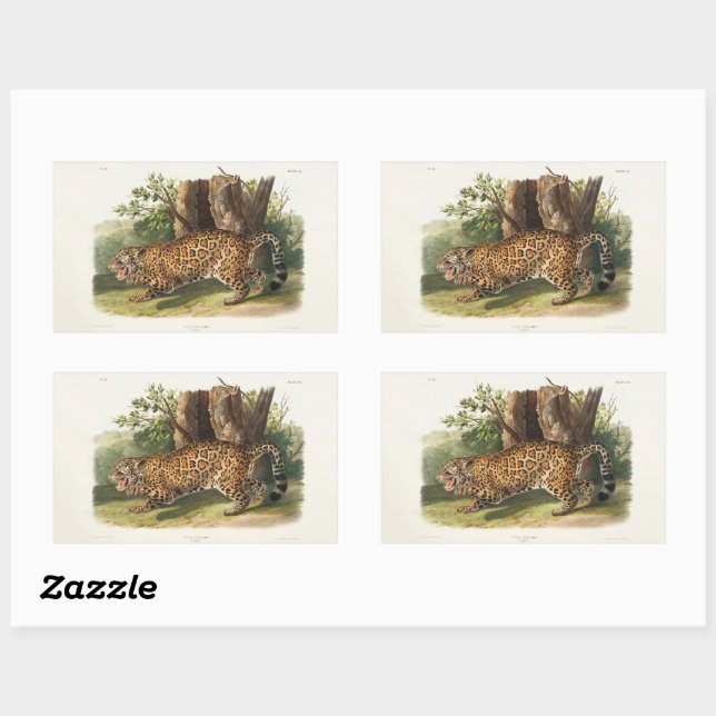 Sticker Rectangulaire Jaguar (Felis onca) d'Amérique du Nord (1845) (Feuille)