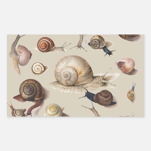 Sticker Rectangulaire Jardin d'escargots Animaux de compagnie Gastropod  (Devant)