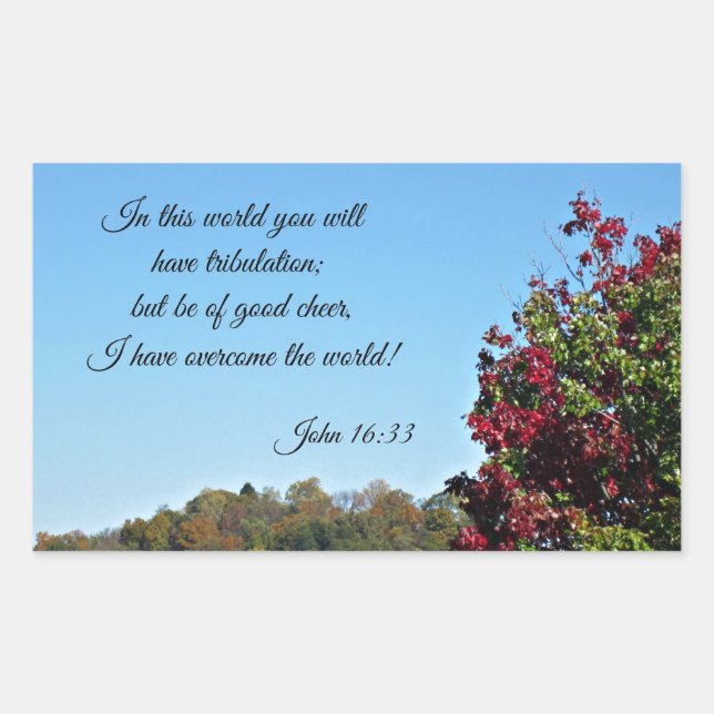 Sticker Rectangulaire Jean 16:33 Dans le monde vous aurez... (Devant)