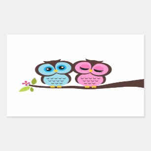 Sticker Rectangulaire Jolies Chouettes