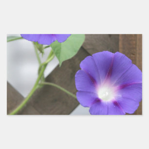 Sticker Rectangulaire Jolies gloires du matin