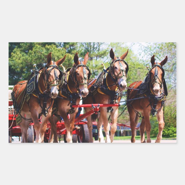 Sticker Rectangulaire jours muets (Devant)