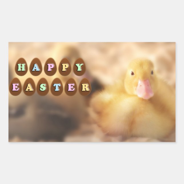 Sticker Rectangulaire Joyeux salutations de Pâques de mignons canards (Devant)