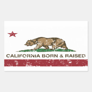 Sticker Rectangulaire La Californie soutenue et a augmenté affligé