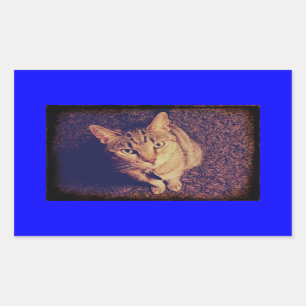 Sticker Rectangulaire La demande indienne