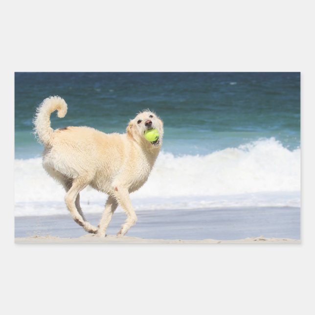 Sticker Rectangulaire Labradoodle - Joyeuse journée sur la plage (Devant)