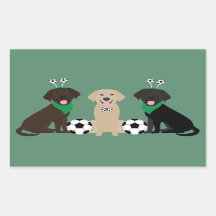 Labrador Retriever Dogs Jouer Au Football