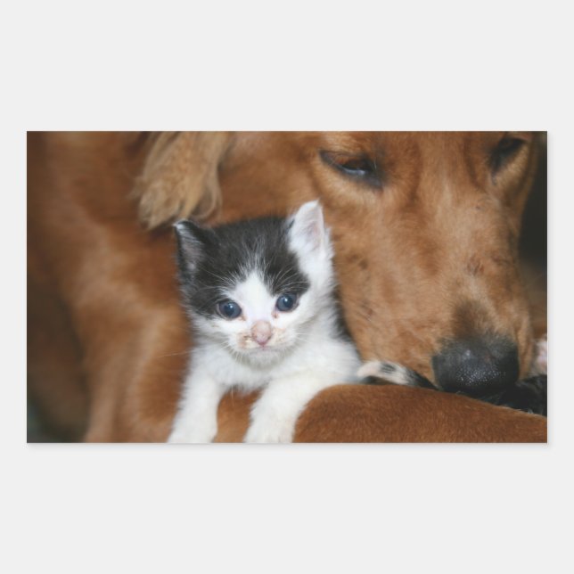 Sticker Rectangulaire L'amour des chiots (Devant)