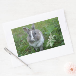 Sticker Rectangulaire Lapin lapin