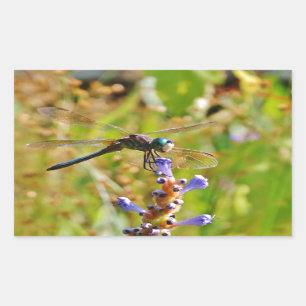 Sticker Rectangulaire Lavande