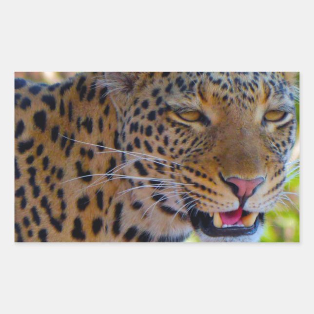 Sticker Rectangulaire Leopard tacheté (Devant)