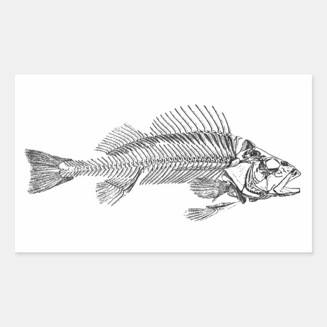 Sticker Rectangulaire Logo Fish Skeleton (Devant)
