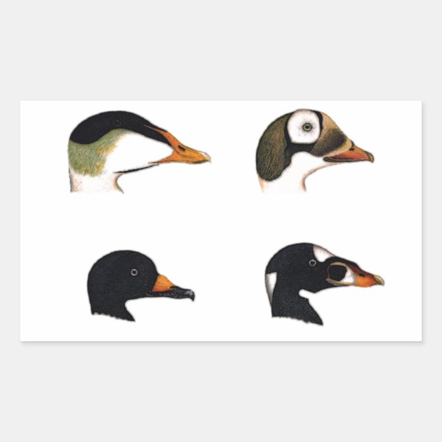 Sticker Rectangulaire Logo Sea Ducks (Devant)