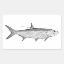 Sticker Rectangulaire Logo Tarpon (art linéaire)