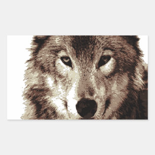 Sticker Rectangulaire Loup gris