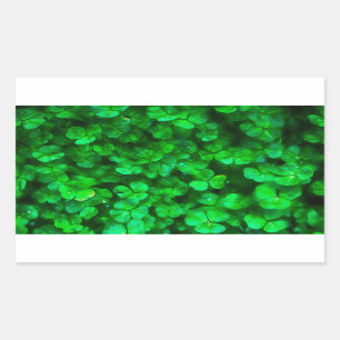 Sticker Rectangulaire Lucky Celtic Irish Green Shamrocks