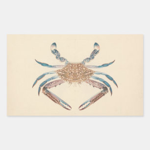 Sticker Rectangulaire Luigi Balugani - Portunua Pelagicus - Crabe bleu