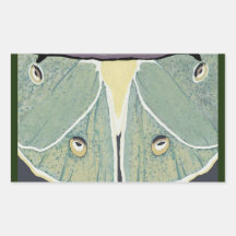Luna Moth Peinture numérique Coussin de l'accent