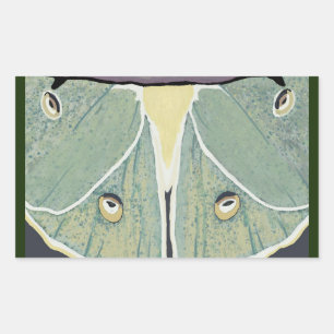 Sticker Rectangulaire Luna Moth Peinture numérique Coussin de l'accent