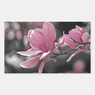 Sticker Rectangulaire Magnolia à assiette japonaise rose