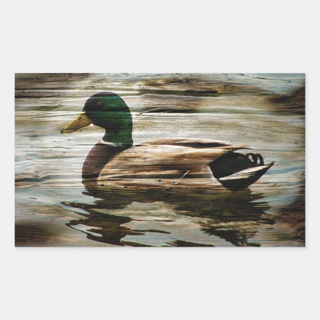 Sticker Rectangulaire Mallard Duck (Devant)