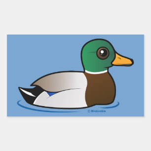 Sticker Rectangulaire Mallard Mallard