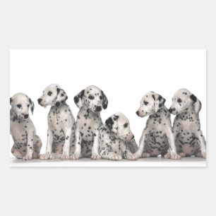 Sticker Rectangulaire mignonette chiots marionnettes chiot chiot chien c