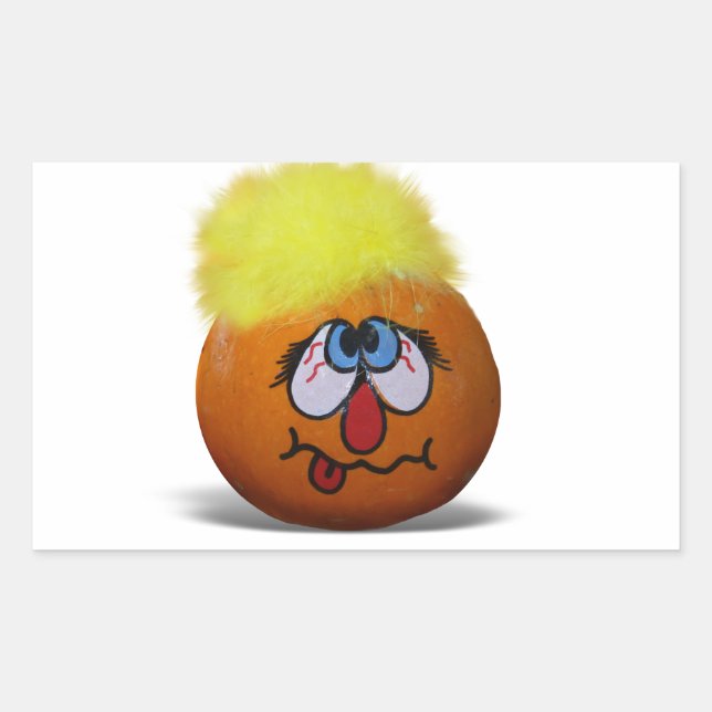 Sticker Rectangulaire Mini visage Citrouille idiot (Devant)