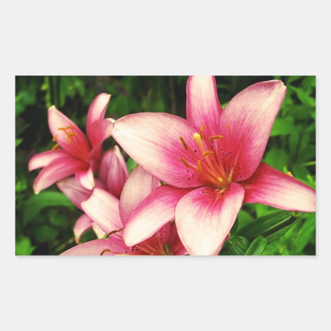 Sticker Rectangulaire Moneymaker Lily (Devant)