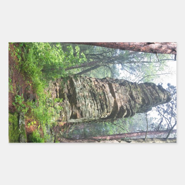 Sticker Rectangulaire Monticule castrée dans la forêt de l'État (Devant)