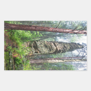 Sticker Rectangulaire Monticule castrée dans la forêt de l'État
