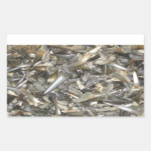 Sticker Rectangulaire Motif fossile de dents de requin
