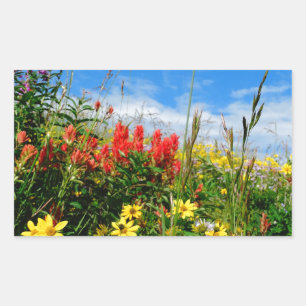 Sticker Rectangulaire Mt. Fleur sauvage