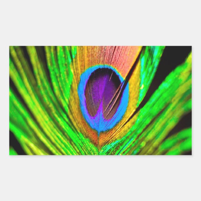 Sticker Rectangulaire Neon Colors Peacock Feather (Devant)