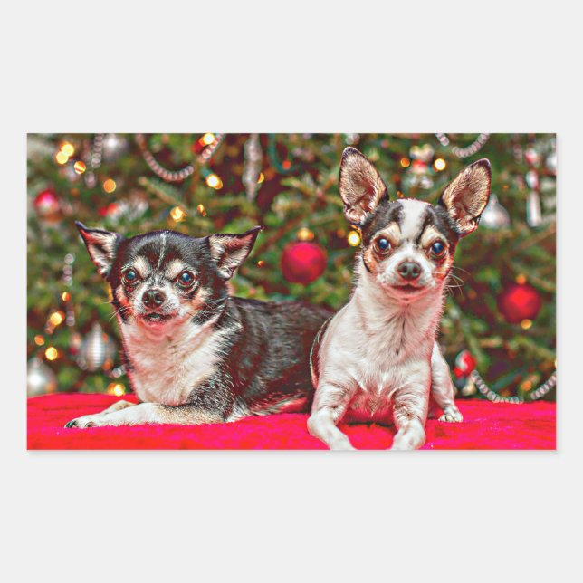 Sticker Rectangulaire Noël au Chihuahua (Devant)