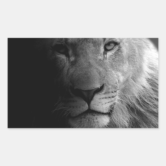 Sticker Rectangulaire Noir Blanc Motivation Leadership Lion Portrait (Devant)