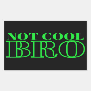 STICKER RECTANGULAIRE NON COOL BRO