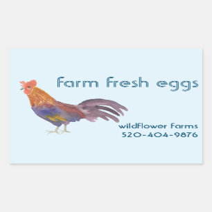 Sticker Rectangulaire OEufs de poulet d'aquarelle à vendre produit perso