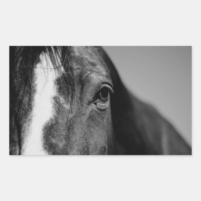 Sticker Rectangulaire OEuvre d'oeil noir blanc (Devant)