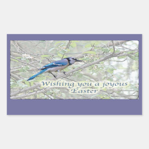 Sticker Rectangulaire Oiseau chanteur joyeux de geai bleu de Pâques
